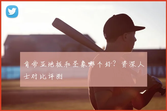 肯帝亚地板和圣象哪个好？资深人士对比评测