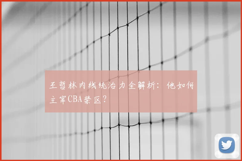 王哲林内线统治力全解析：他如何主宰CBA禁区？